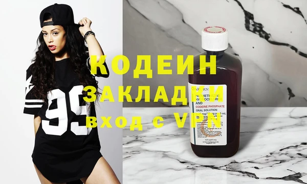 ГАЛЛЮЦИНОГЕННЫЕ ГРИБЫ Дмитриев