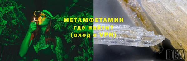 ГАЛЛЮЦИНОГЕННЫЕ ГРИБЫ Дмитриев
