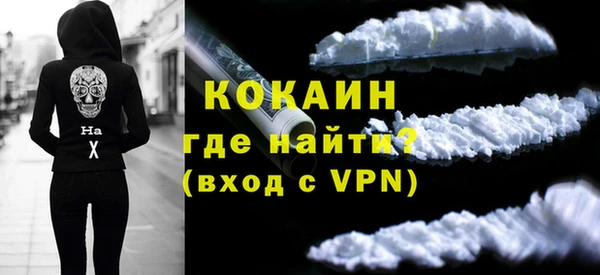 ГАЛЛЮЦИНОГЕННЫЕ ГРИБЫ Дмитриев