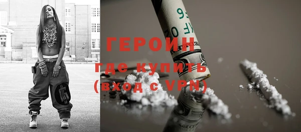 ГАЛЛЮЦИНОГЕННЫЕ ГРИБЫ Дмитриев