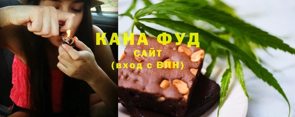 ГАЛЛЮЦИНОГЕННЫЕ ГРИБЫ Дмитриев