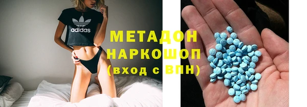 ГАЛЛЮЦИНОГЕННЫЕ ГРИБЫ Дмитриев