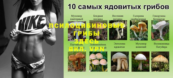 прущая мука Дмитровск