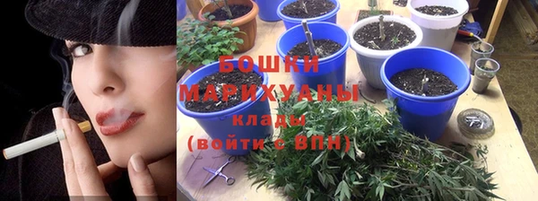 ГАЛЛЮЦИНОГЕННЫЕ ГРИБЫ Дмитриев
