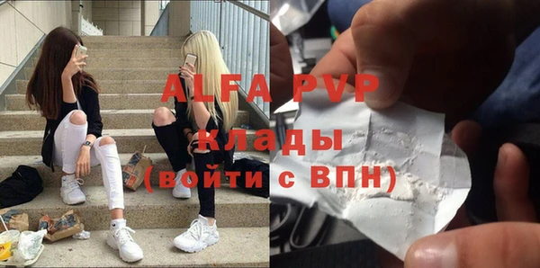 ГАЛЛЮЦИНОГЕННЫЕ ГРИБЫ Дмитриев