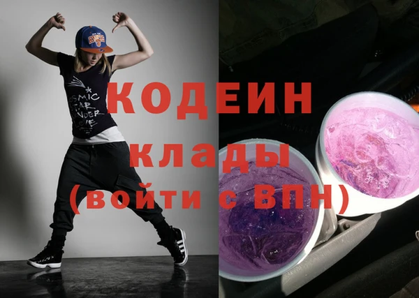 ГАЛЛЮЦИНОГЕННЫЕ ГРИБЫ Дмитриев