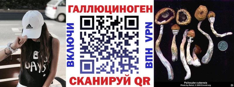 блэк спрут рабочий сайт  Рузаевка  Галлюциногенные грибы Psilocybe  даркнет сайт 