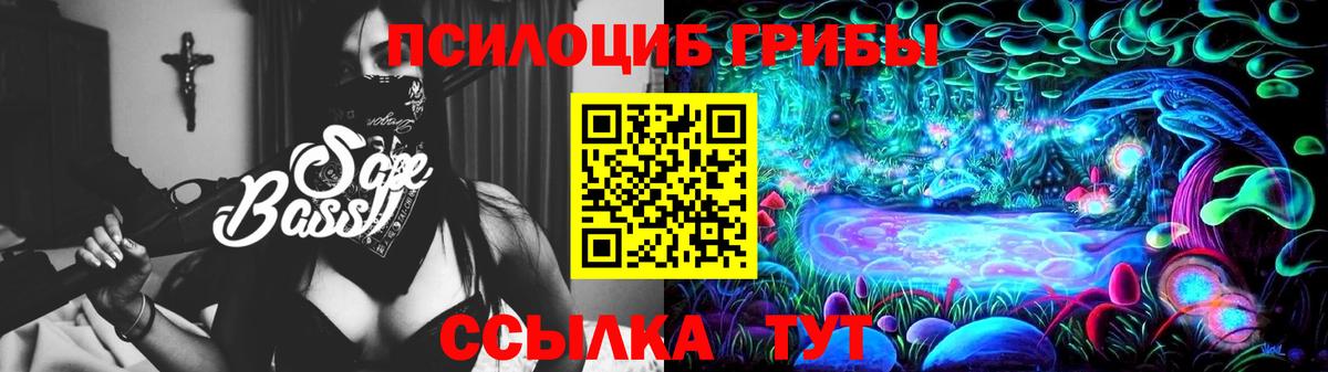 Галлюциногенные грибы MAGIC MUSHROOMS  Рузаевка  где купить наркоту  Псилоцибиновые грибы Cubensis 