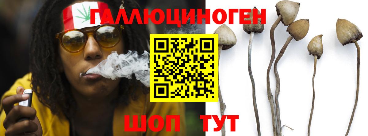 Псилоцибиновые грибы мухоморы Рузаевка